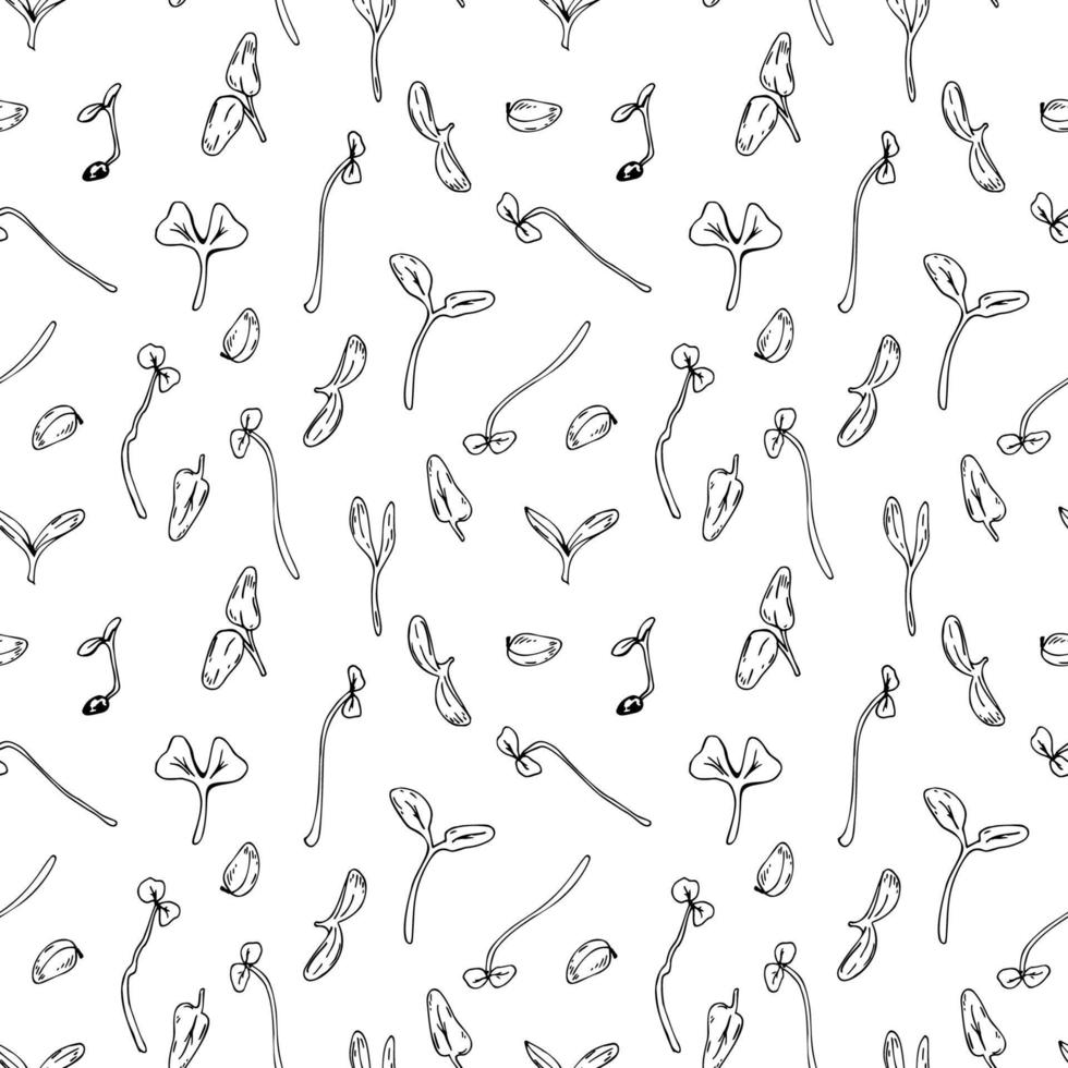 hand getekend microgroen naadloos patroon. vectorillustratie in schetsstijl geïsoleerd op een witte achtergrond vector