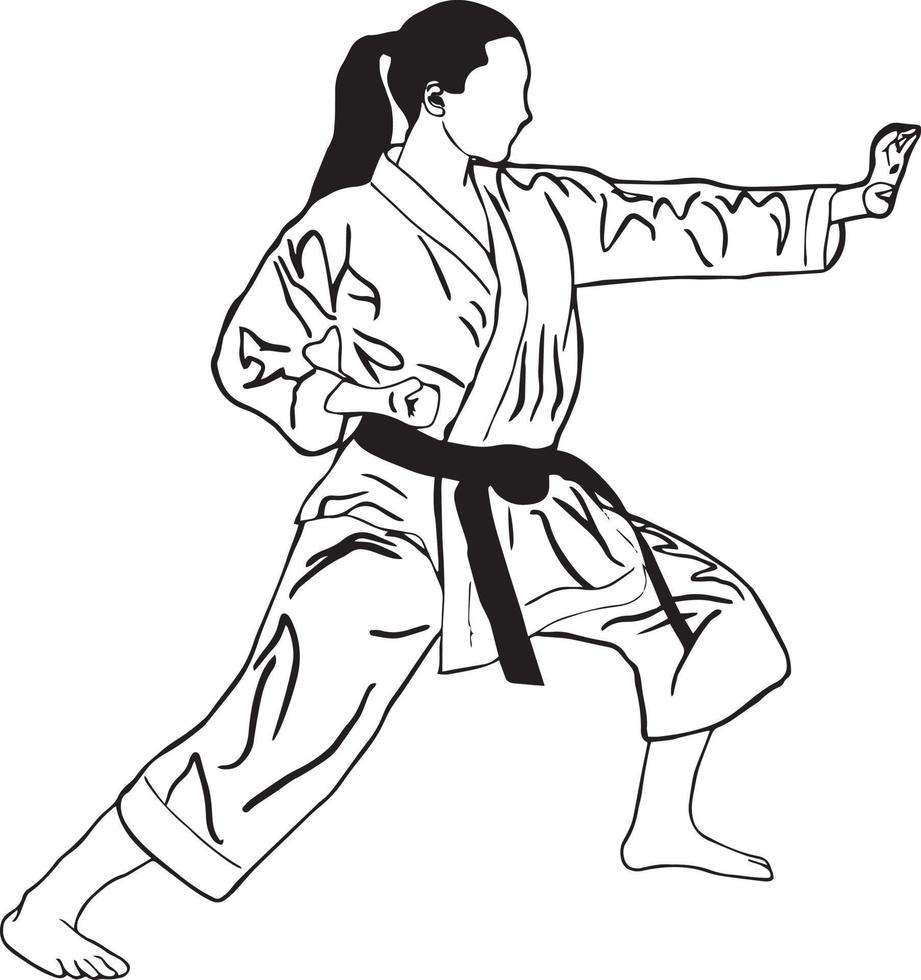 karate vectorillustratie vector