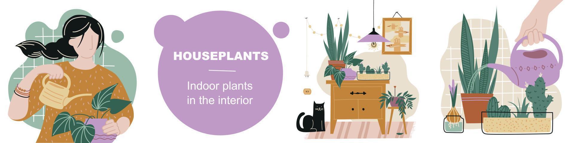 huis planten. kamerplanten in het interieur. planten verzorging. afbeelding instellen. vector afbeelding.