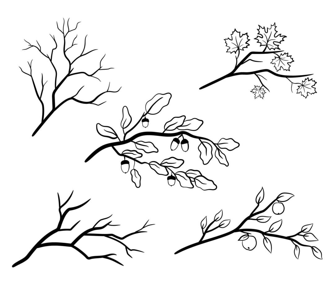 een set boomtakken met esdoorn-, eiken- en appelbladeren. naakte herfsttakken van bomen. vectorillustratie geïsoleerd. vector