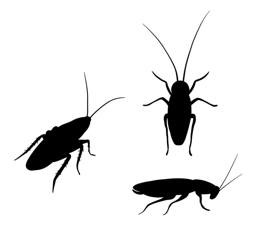 set van kakkerlak silhouetten vector