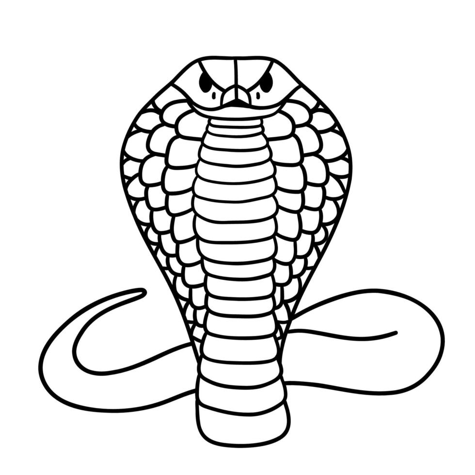 agressieve cobra... zwart-wit vector illustratie hand getekend. klassiek beeld van de slang is geïsoleerd