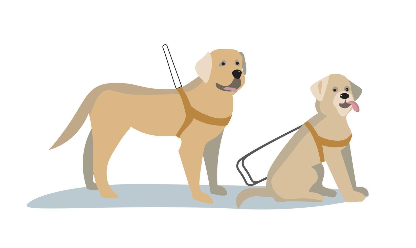 blinde man loopt buiten met hulp van een geleidehond. professioneel opgeleide puppy voor huisdieren helpt gehandicapte man op straat. visuele beperking concept. dienstdier en mensen. vectorillustratie. vector