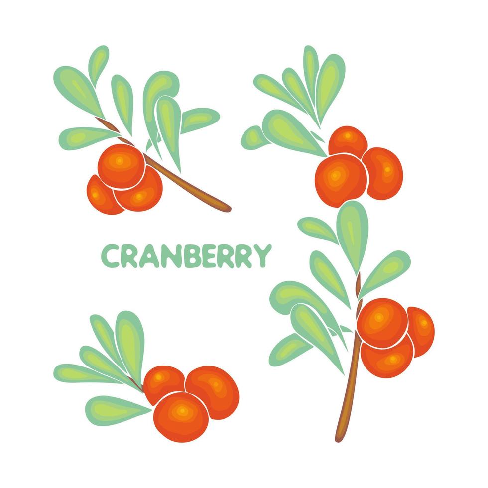 cranberry set tak met bessen en bladeren, belettering, doodle gekleurd, gezonde voeding, eco, veganistisch. geïsoleerd, witte achtergrond. vector