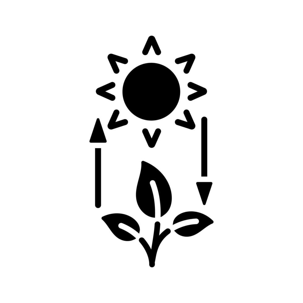 fotosynthese zwart glyph-pictogram. lichtenergie omzetten in chemische energie. planten produceren zuurstof. transformatie proces. silhouet symbool op witte ruimte. solide pictogram. vector geïsoleerde illustratie