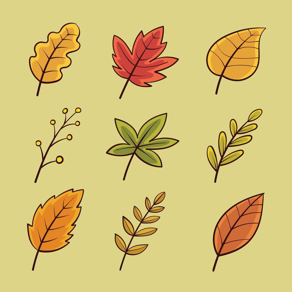 handgetekende herfstbladeren collectie vector