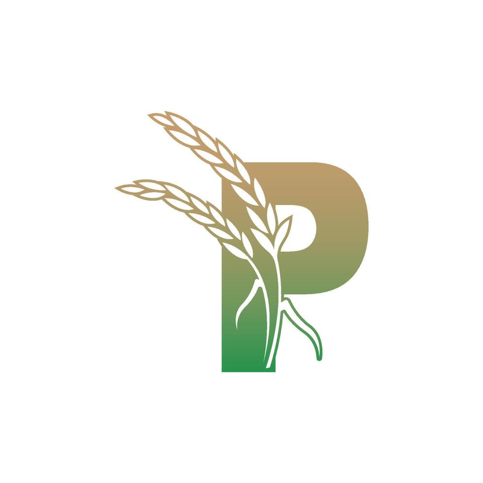 letter p met rijstplant pictogram illustratie sjabloon vector