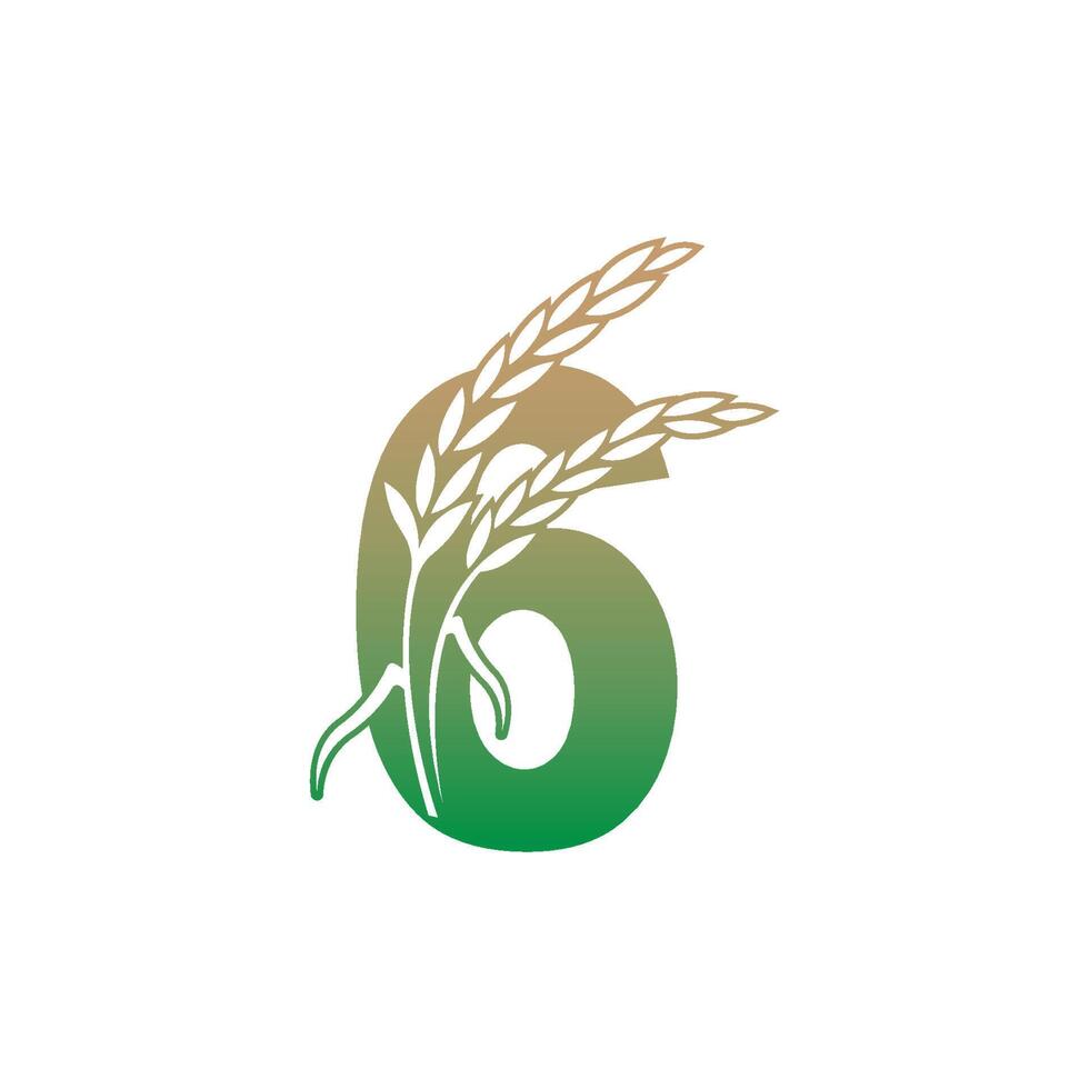 letter 6 met rijstplant pictogram illustratie sjabloon vector