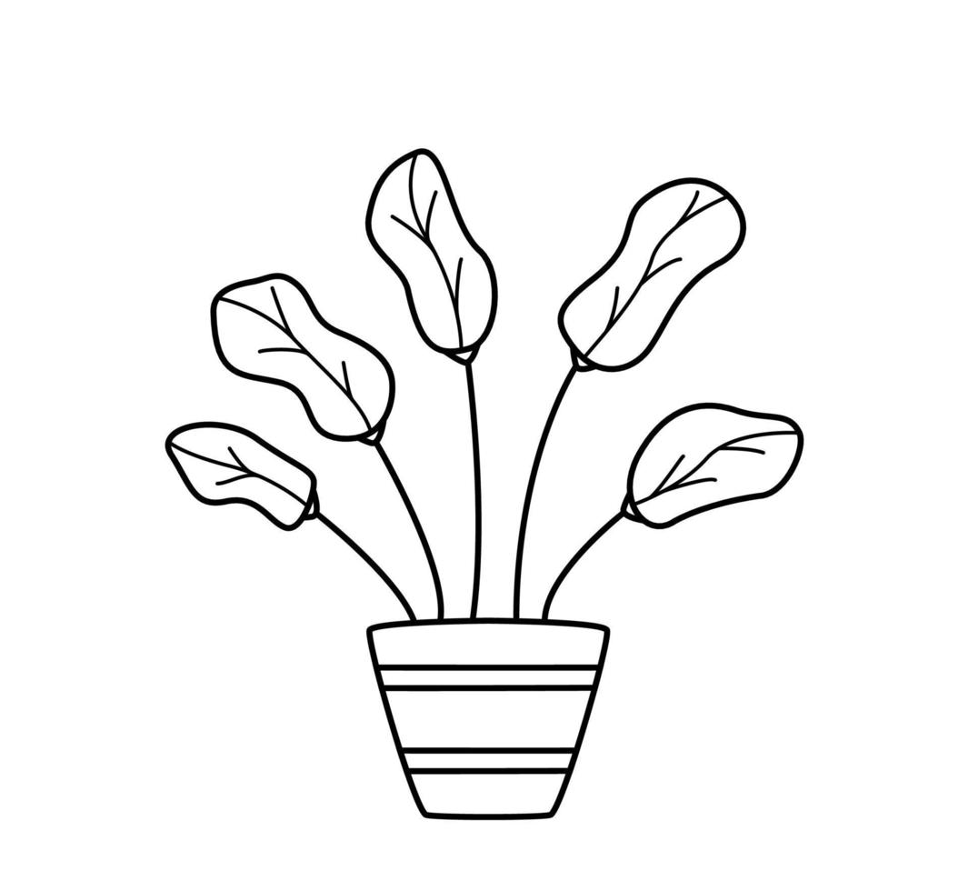 ficus in een bloempot. vectorillustratie contour doodle bloem met bladeren voor kamerdecoratie. vector