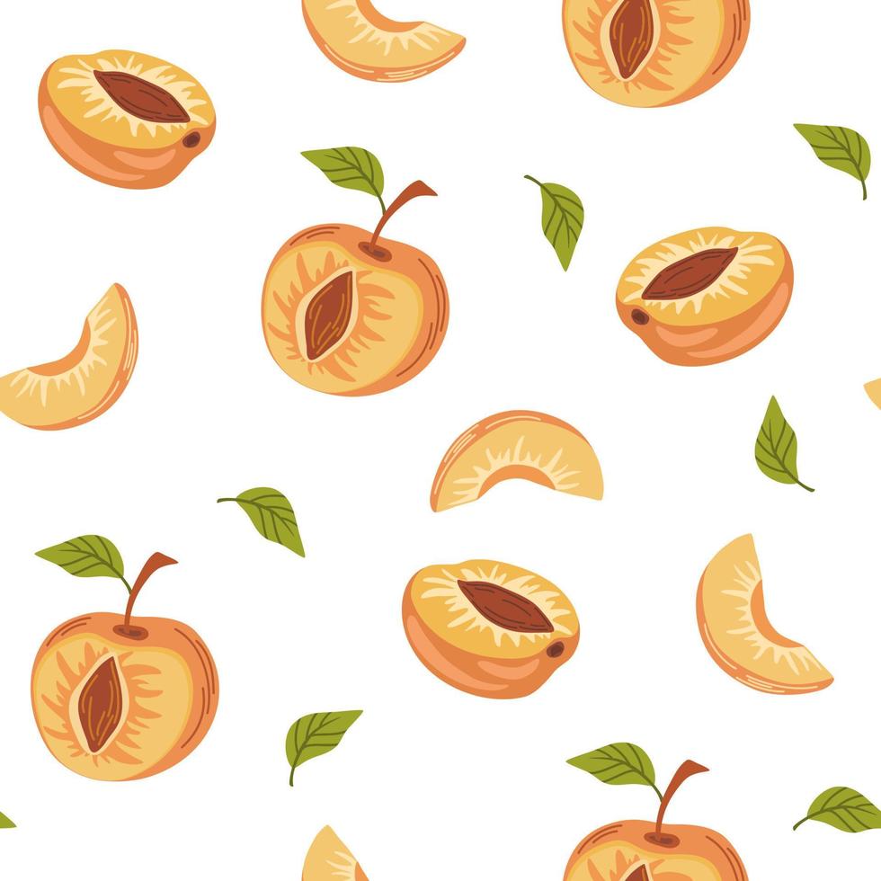 abrikoos fruit naadloze patroon. opkomst tuinplant geheel en half stuk met steel en pit. sappig natuurlijk gezond fruit. perfect voor behang, stof, interieur. vector cartoon illustratie