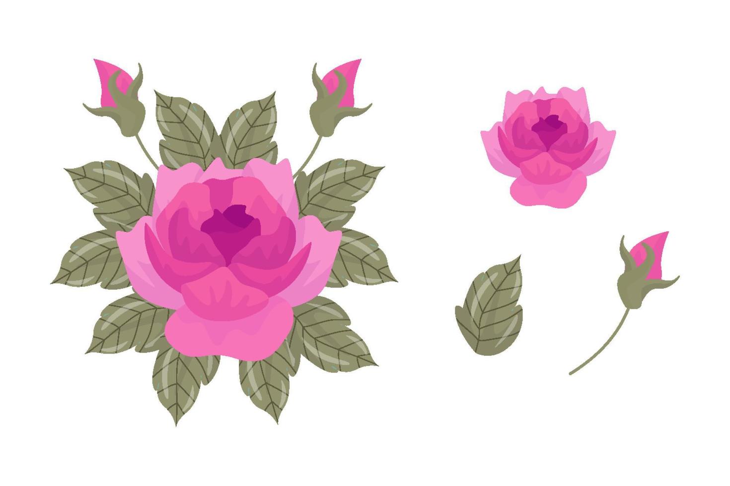 een verscheidenheid aan kleurrijke arrangementen van prachtige bladeren en bloemen vector