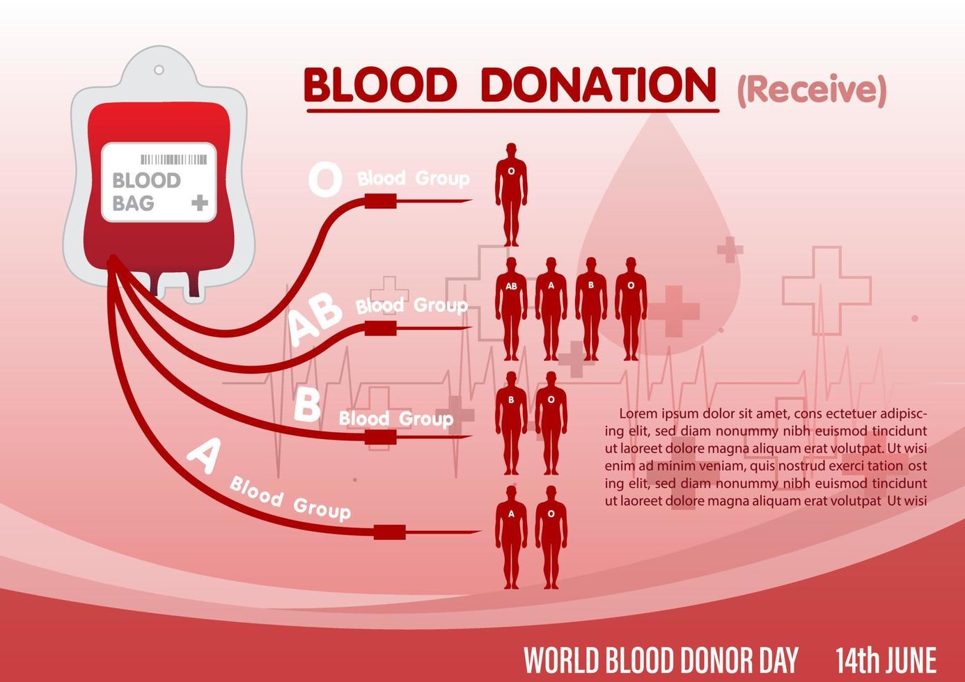 infographic van bloeddonatie met ontvangst aan mens in verschillende bloedgroepen en voorbeeldteksten en rode achtergrond met kleurovergang. poster's infographic van de campagne van de wereldbloeddonordag in vectorontwerp. vector