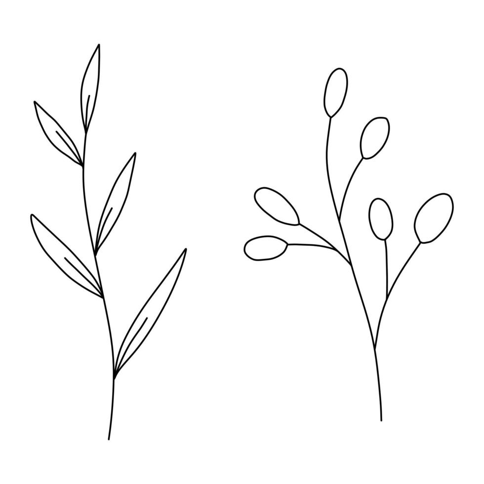 hand getekende blad doodle. handgetekende plant in doodle stijl. botanische illustratie. vector