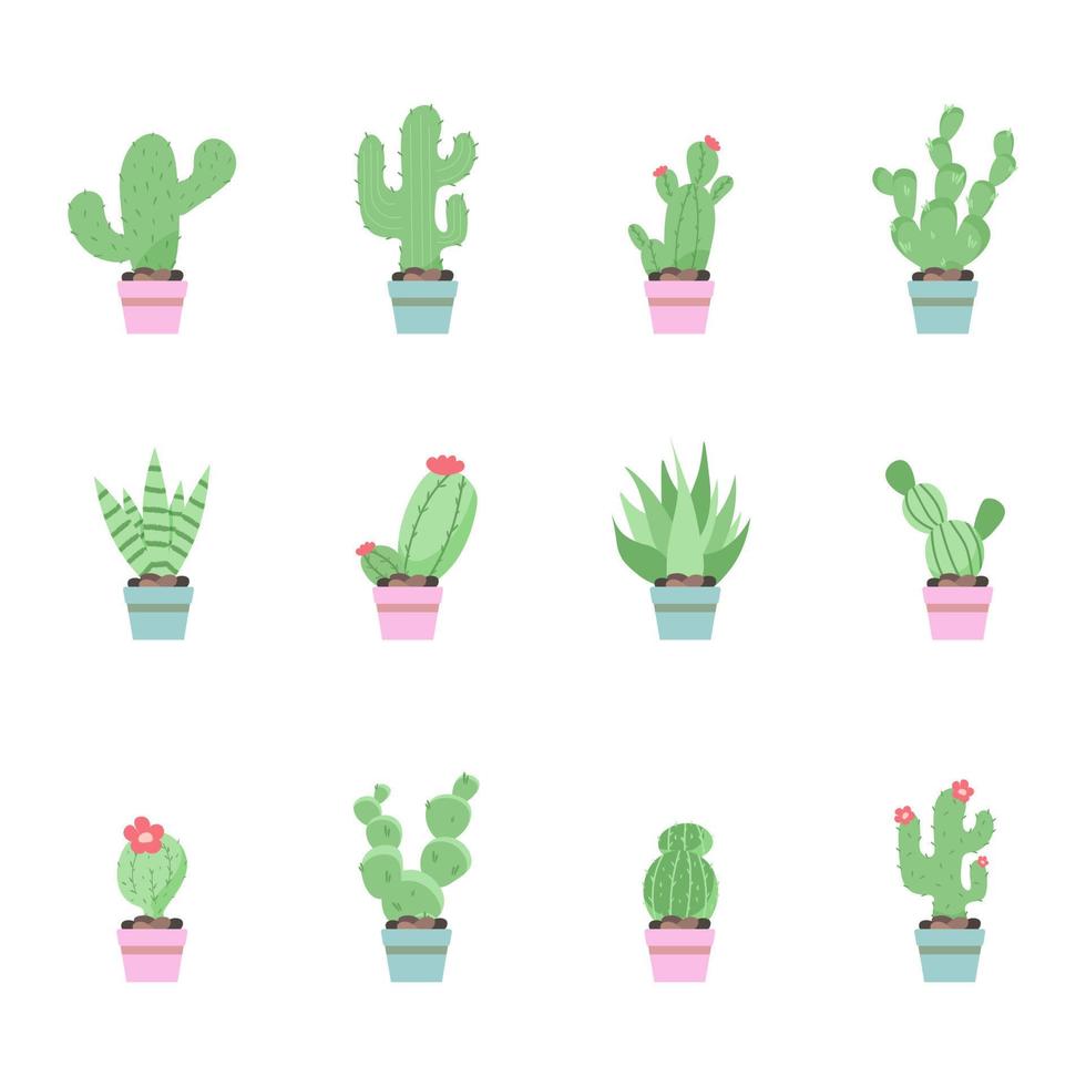 set van cactussen in potten. vector