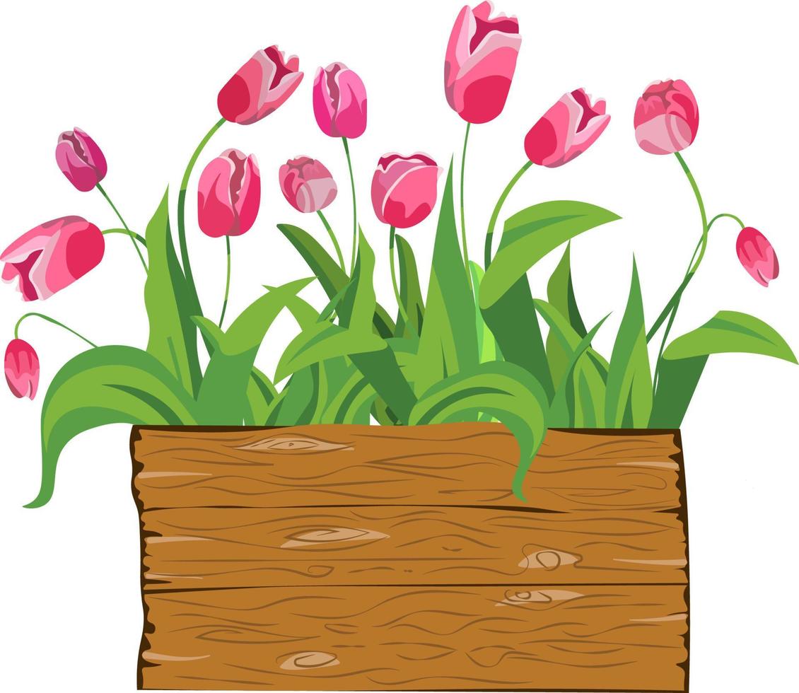 vectorillustratie van tulpen bloemen. achtergrond, patroon, print voor verpakkingspapier, ansichtkaarten, textiel. kleurrijke roze tulpen met bladeren. wenskaart ontwerpsjabloon. vector