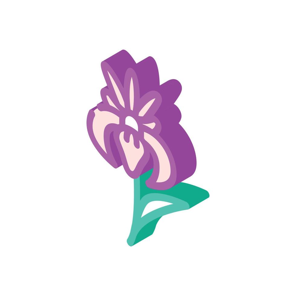 iris bloem isometrische pictogram vectorillustratie vector