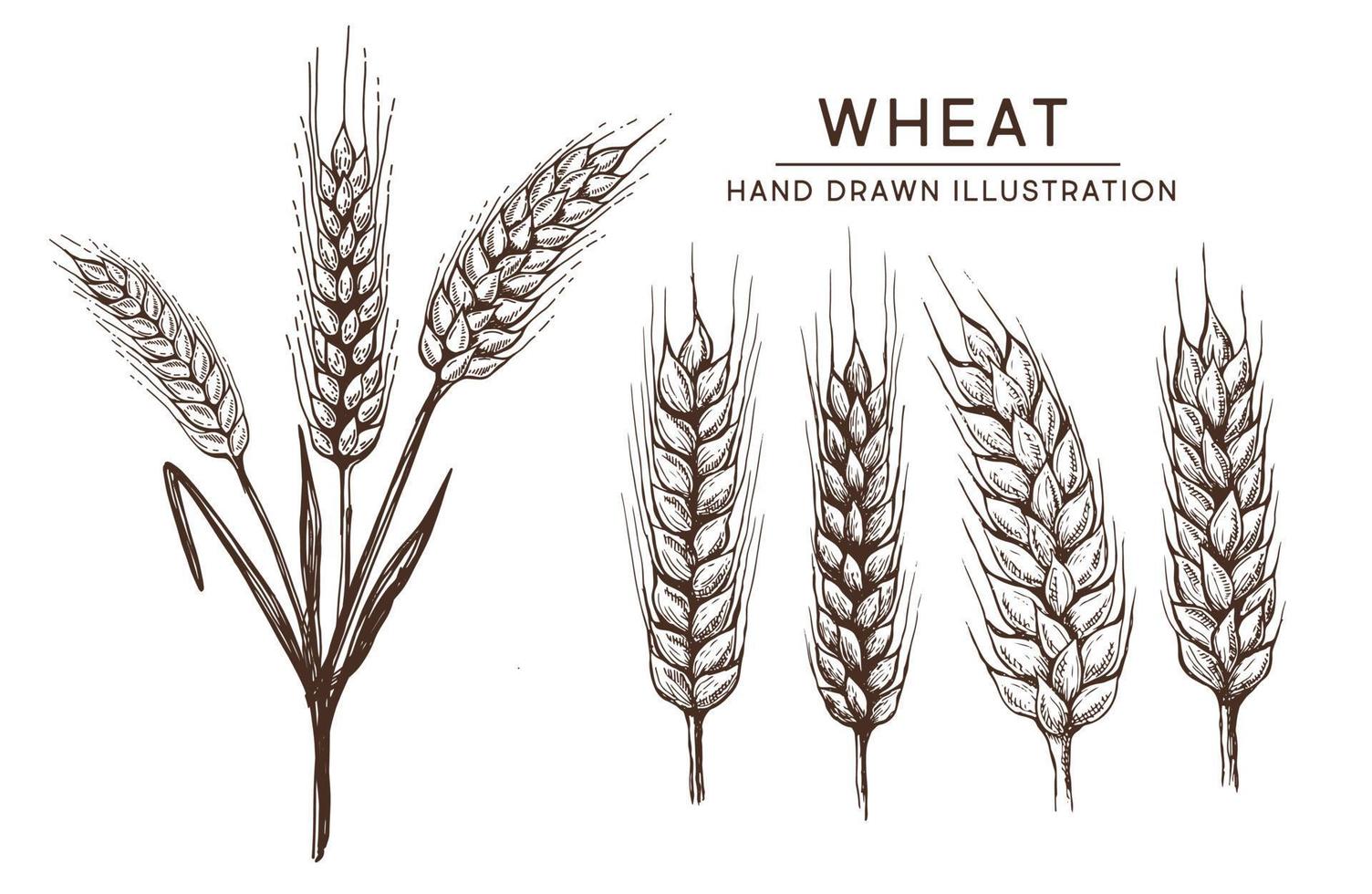 tarwe brood oren hand getekende vectorillustratie. vector