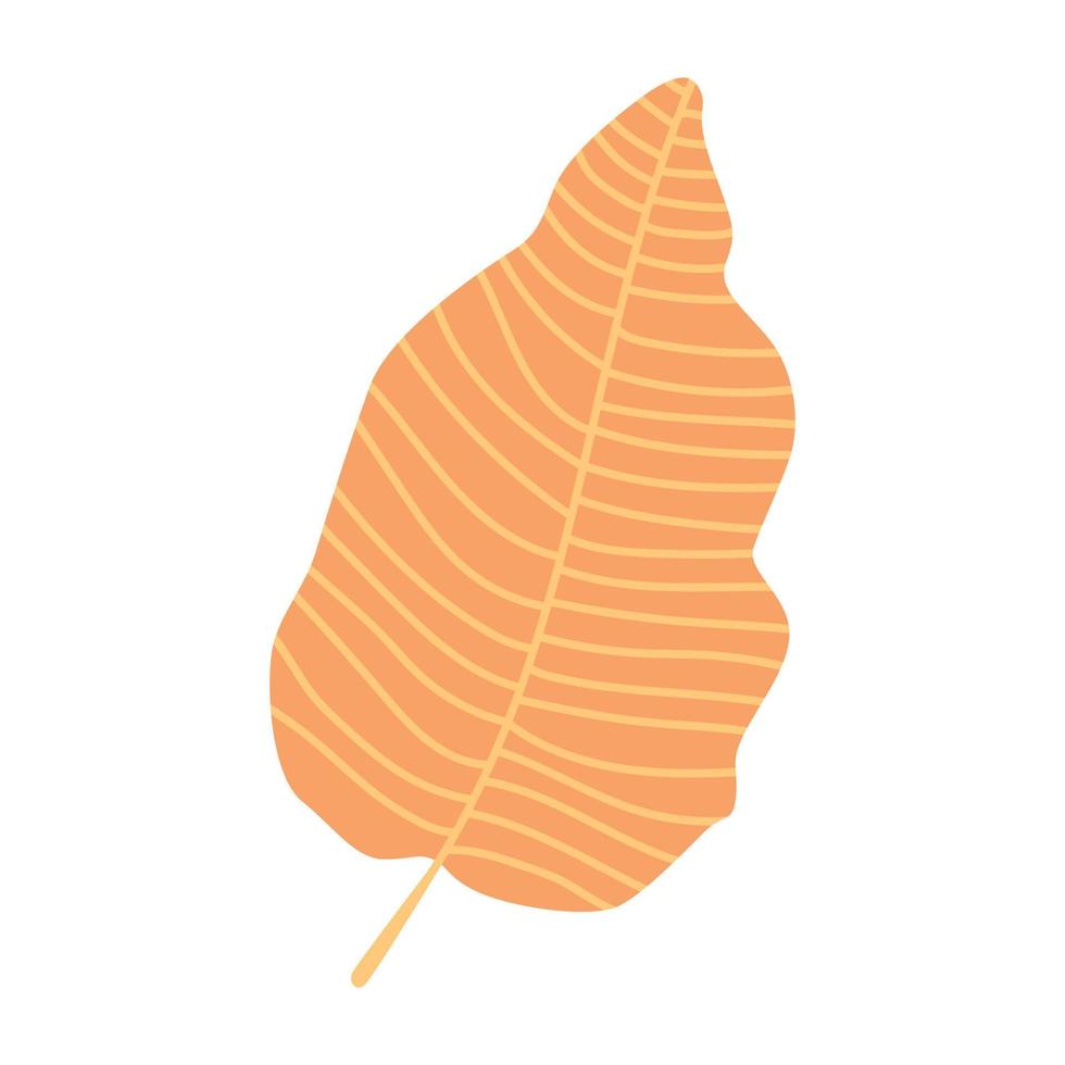 tropisch verlof palm groen natuur geïsoleerd pictogram vector illustratie ontwerp
