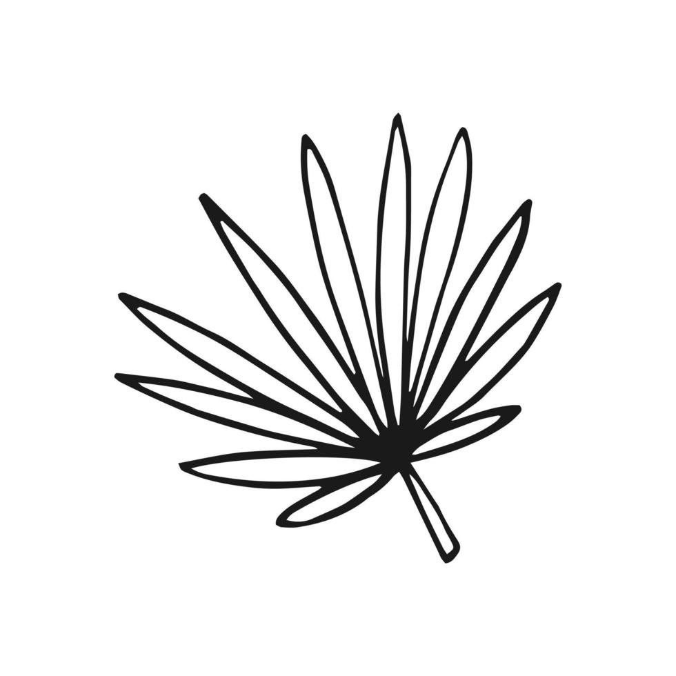tropisch blad. hand getekende vectorillustratie. lijn kunststijl geïsoleerd op een witte achtergrond. vector