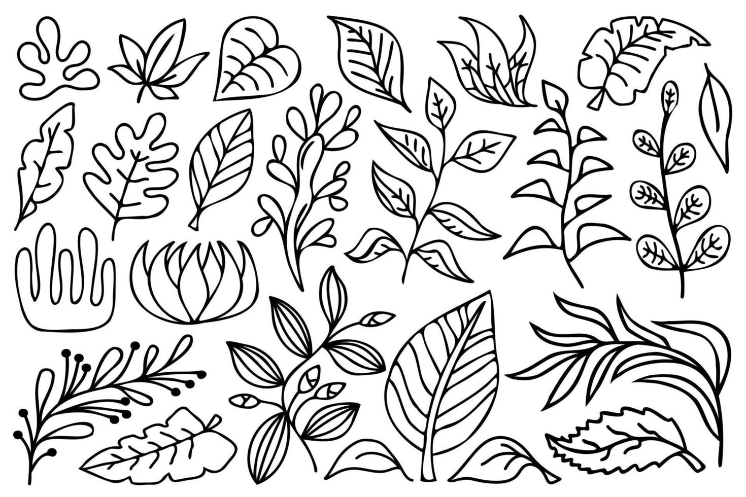 zwarte omtrek botanische ontwerpelementen. lijn kunst bloemen, takken en bladeren, zwart-witprinter vector illustratie set.