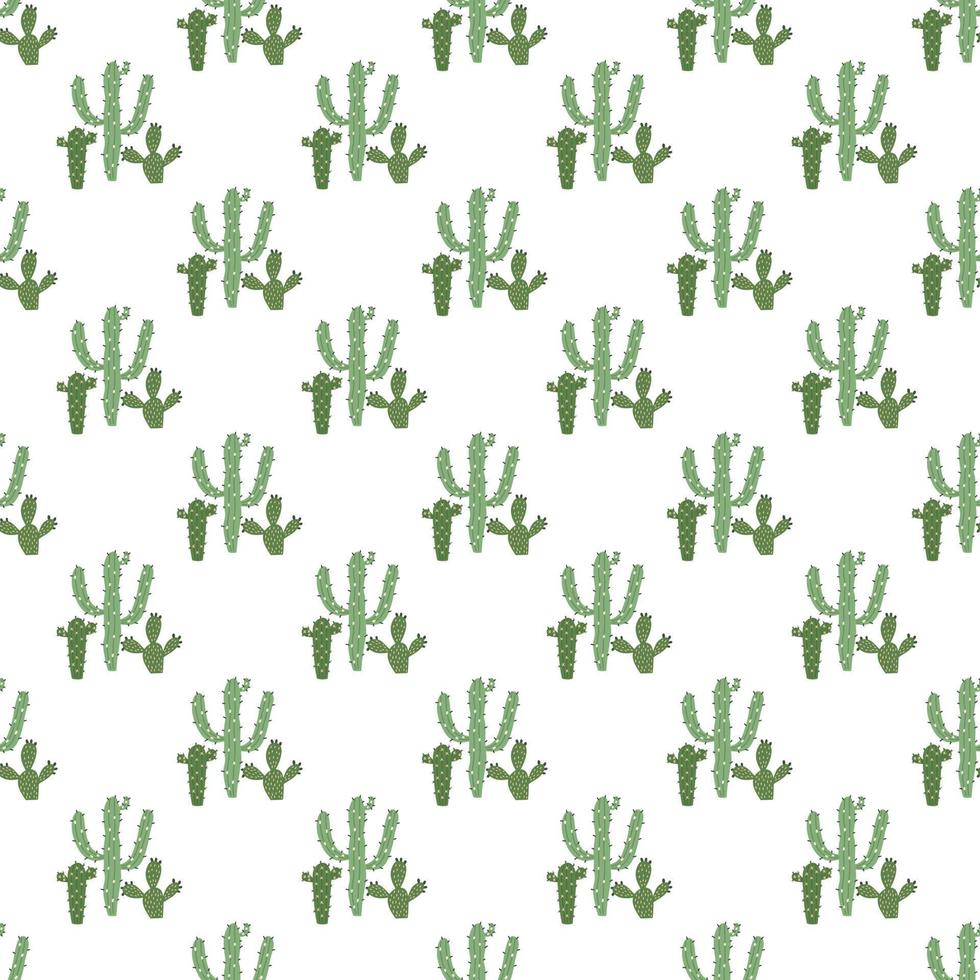patroon van groene cactussen op witte achtergrond vector