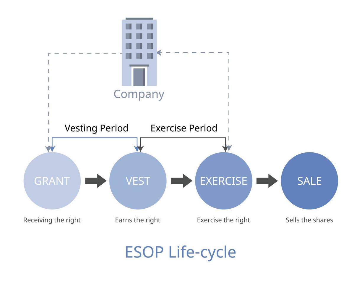 esop-levenscyclus is het proces van het aandelenbezit van de werknemer sinds de toekenning tot aan de verkoop vector