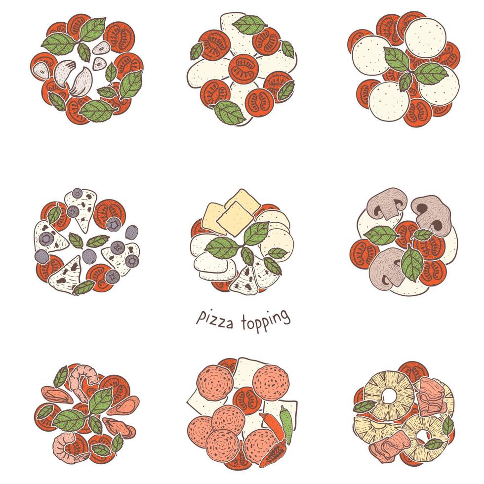 pizza populaire toppings vlees en vegetarisch, schets illustratie vector