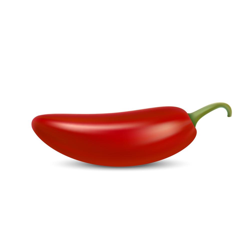 realistische roodgloeiende natuurlijke chili peper vector