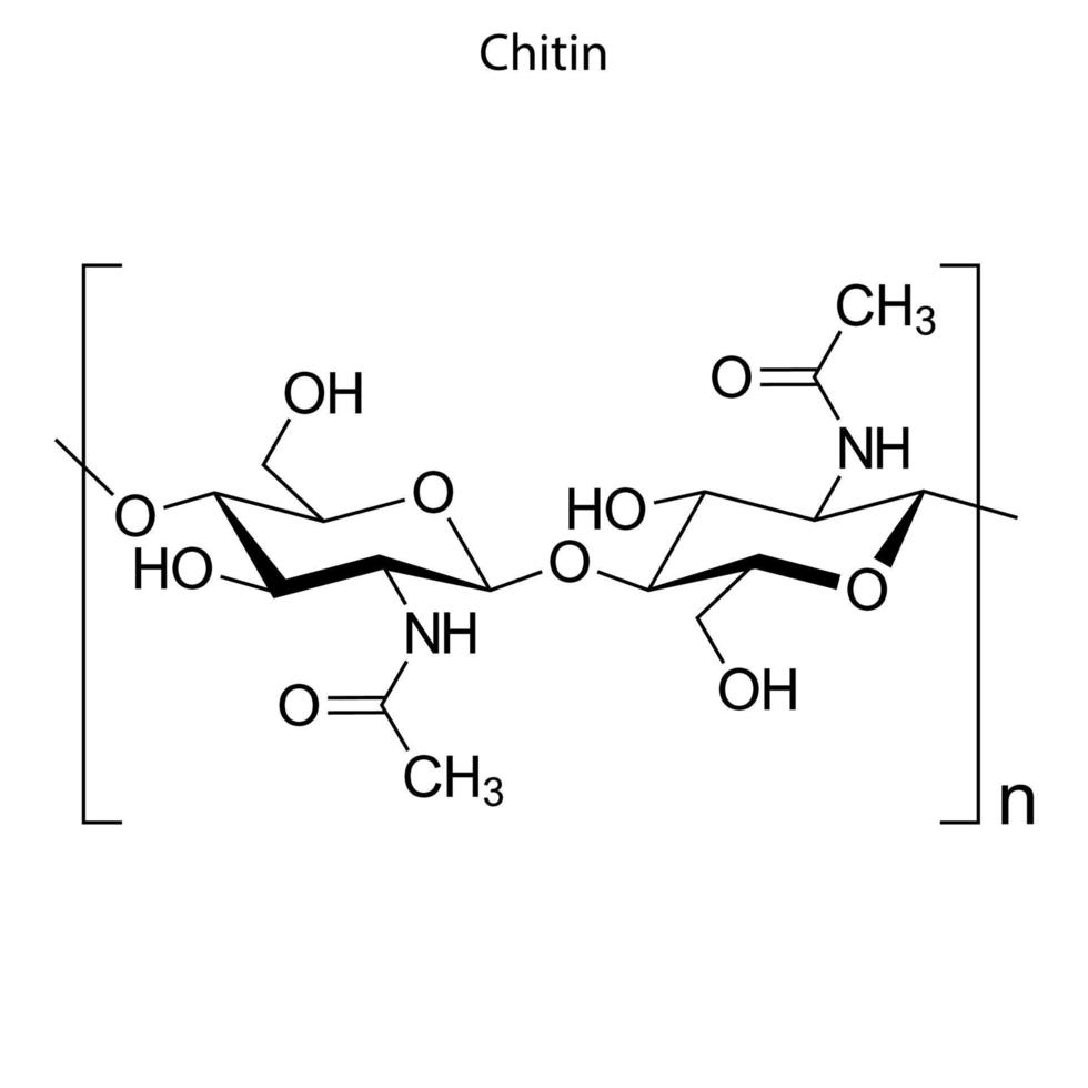 skeletformule van chemisch element vector