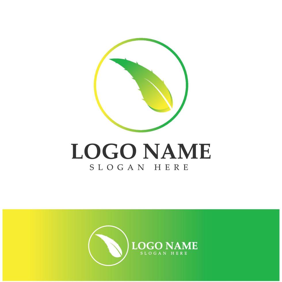 aloë vera logo pictogram illustratie vector