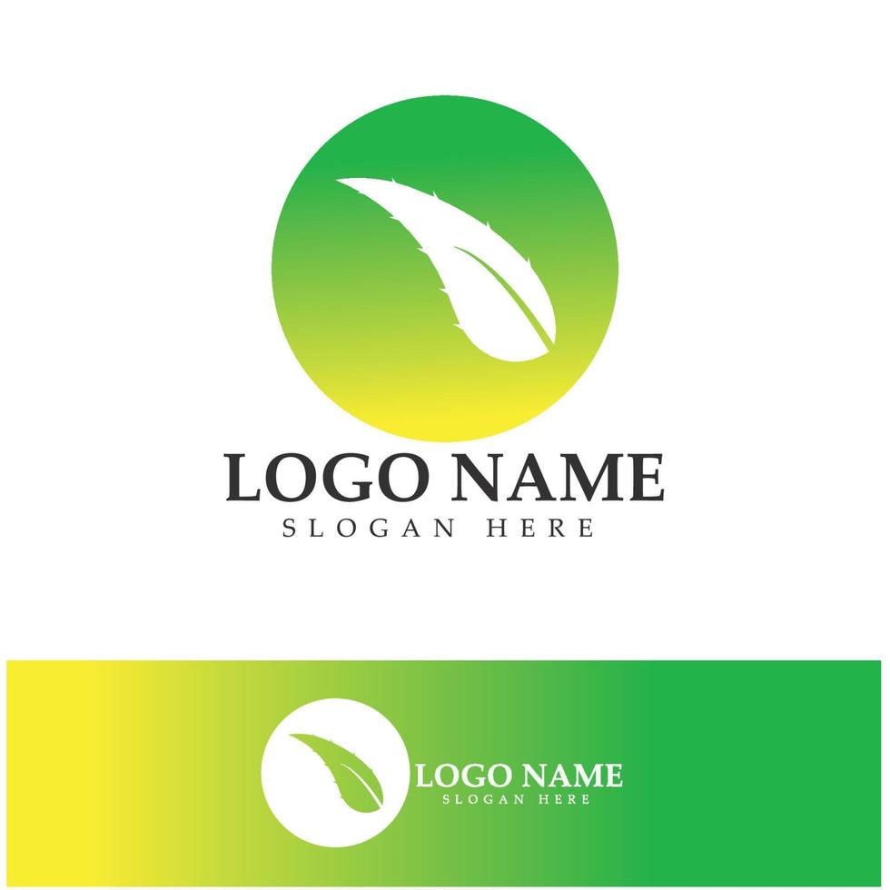 aloë vera logo pictogram illustratie vector