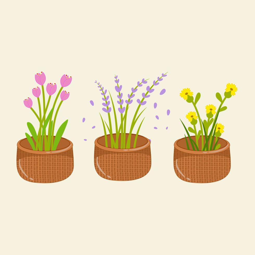 set collectie bloemen in een pot vector