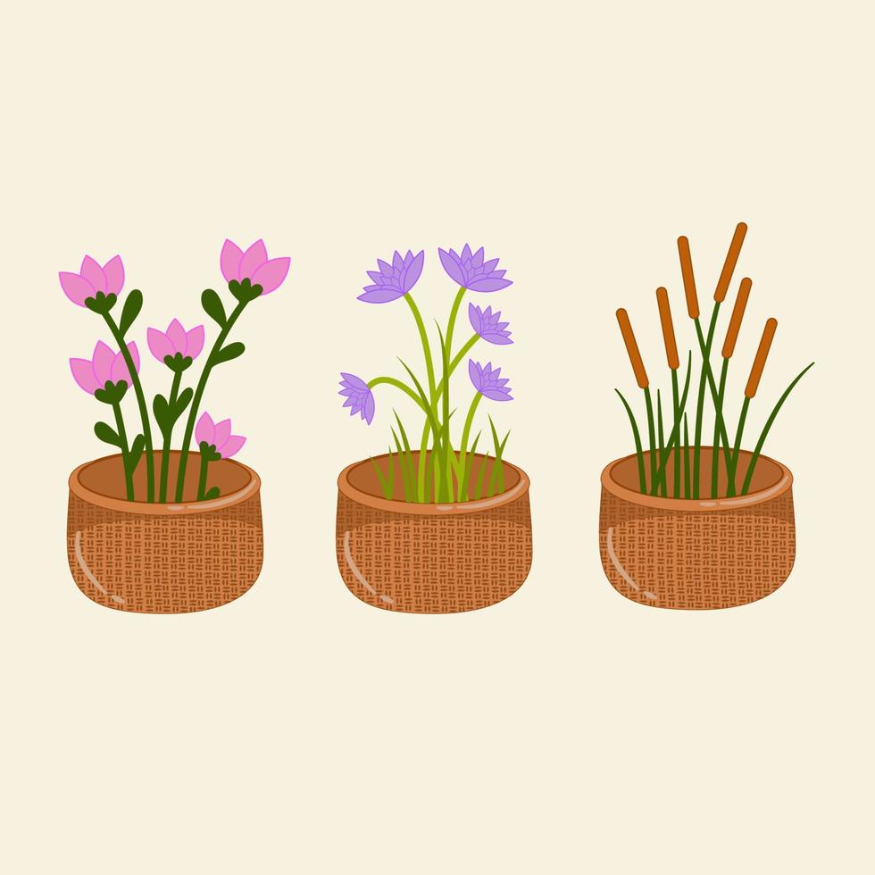 set collectie bloemen in een pot vector