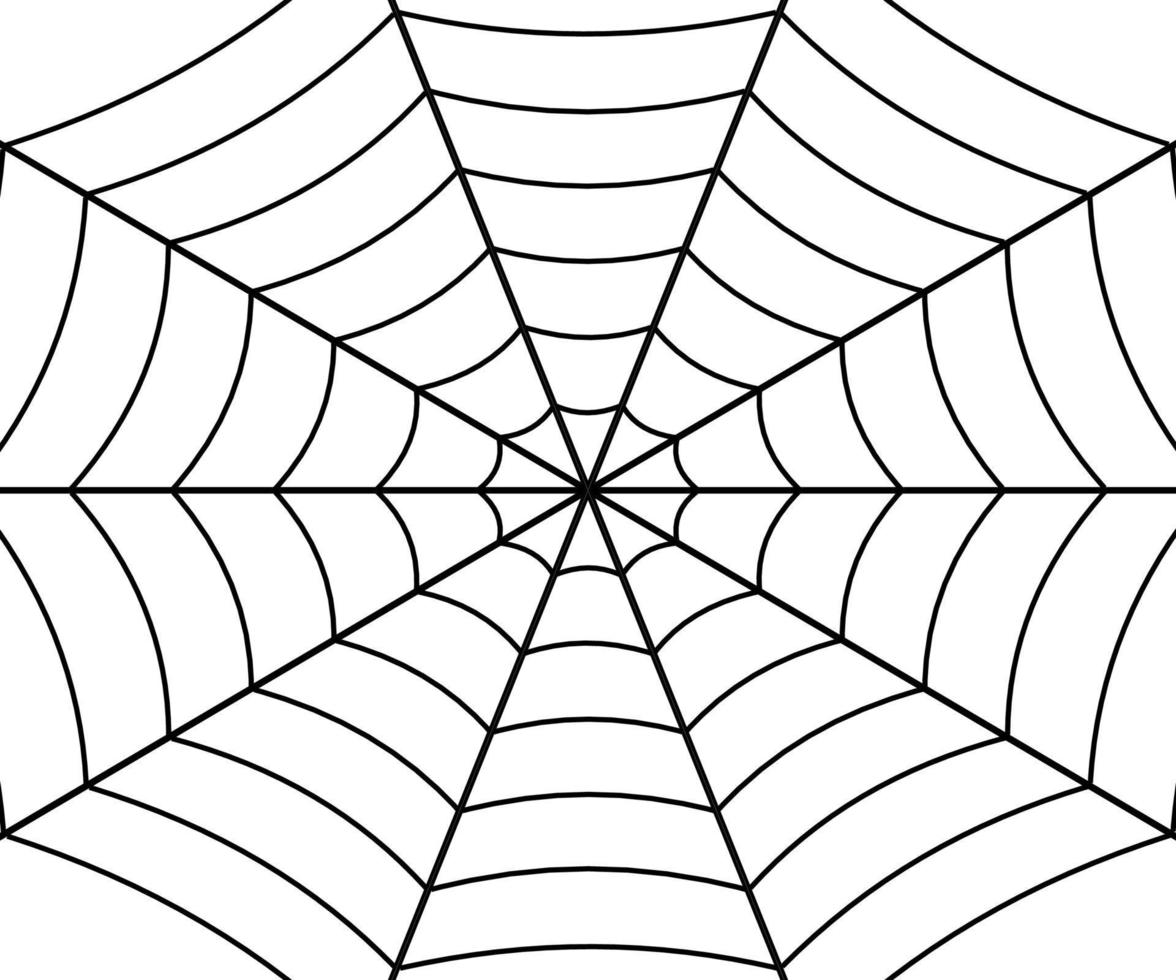 spinnenweb illustratie vector