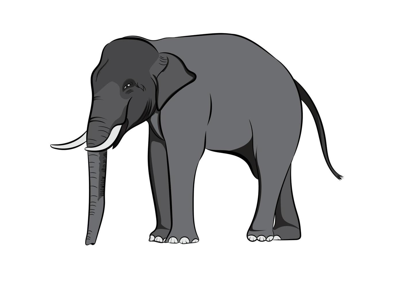 afbeeldingen tekening olifant azië geïsoleerde witte achtergrond vector illustratie