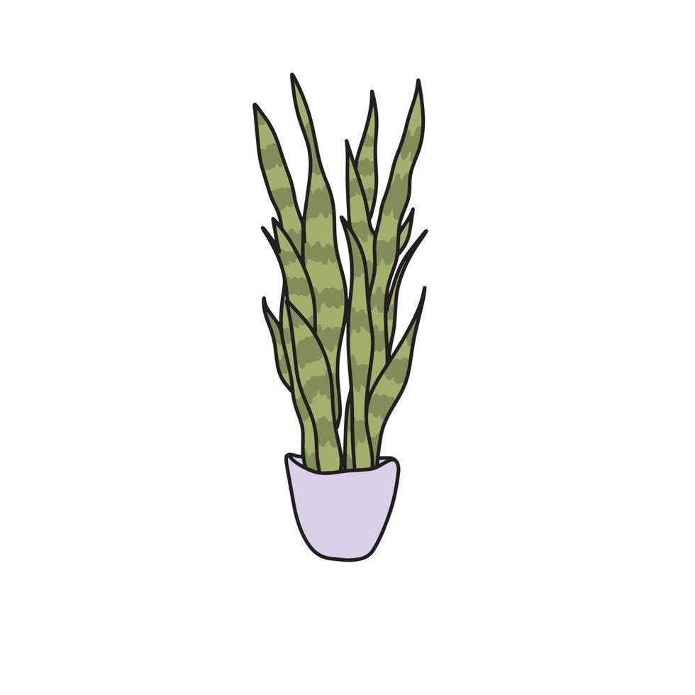 schoonmoeder tong, slang plant, sansevieria - doodle stijl illustratie vector