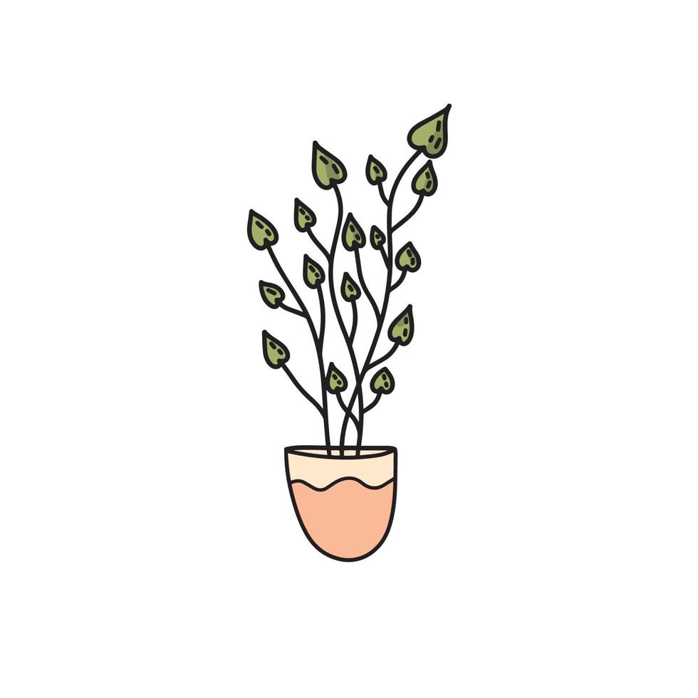 kamerplant een pot, doodle en vectorillustratie vector