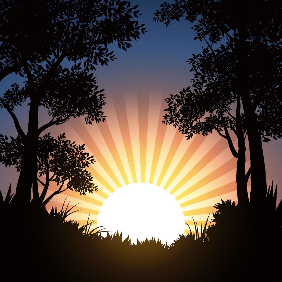 bos silhouet illustratie met zonsopgang vector