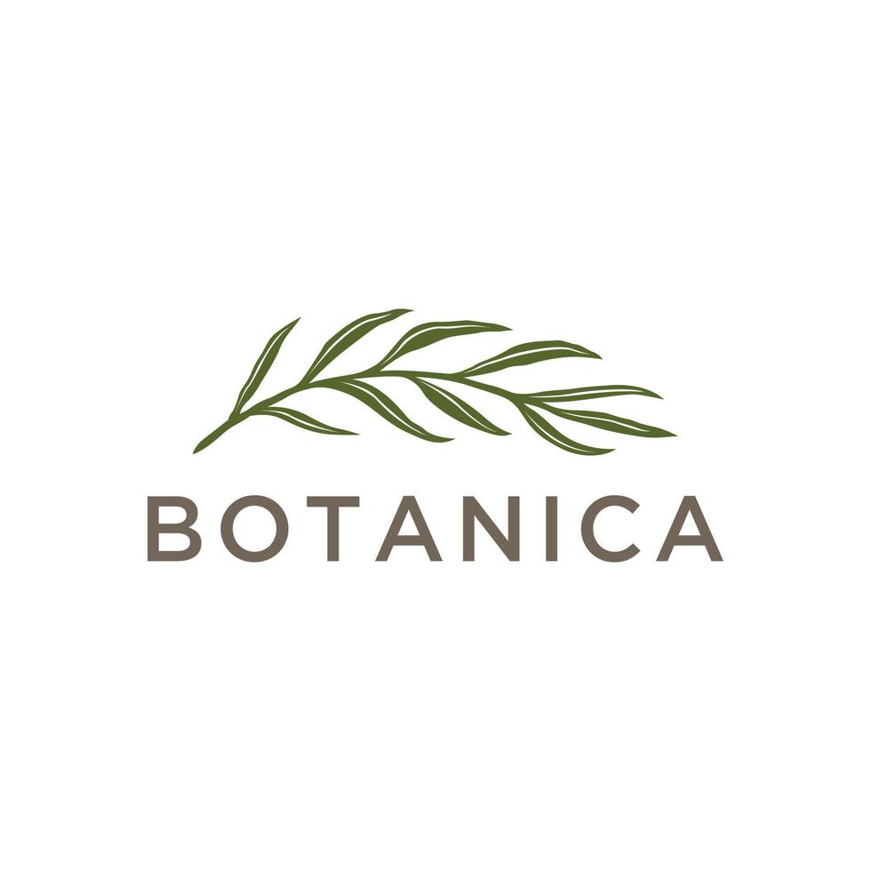 botanica-logo met het concept van natuur, bladeren, klassiekers met een cirkelvormig tintje vector