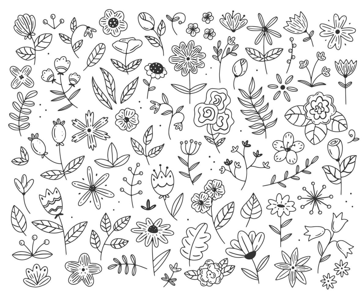 een groot aantal verschillende bloemen en planten in een eenvoudige lineaire doodle-stijl. vector geïsoleerde bloemen illustratie.