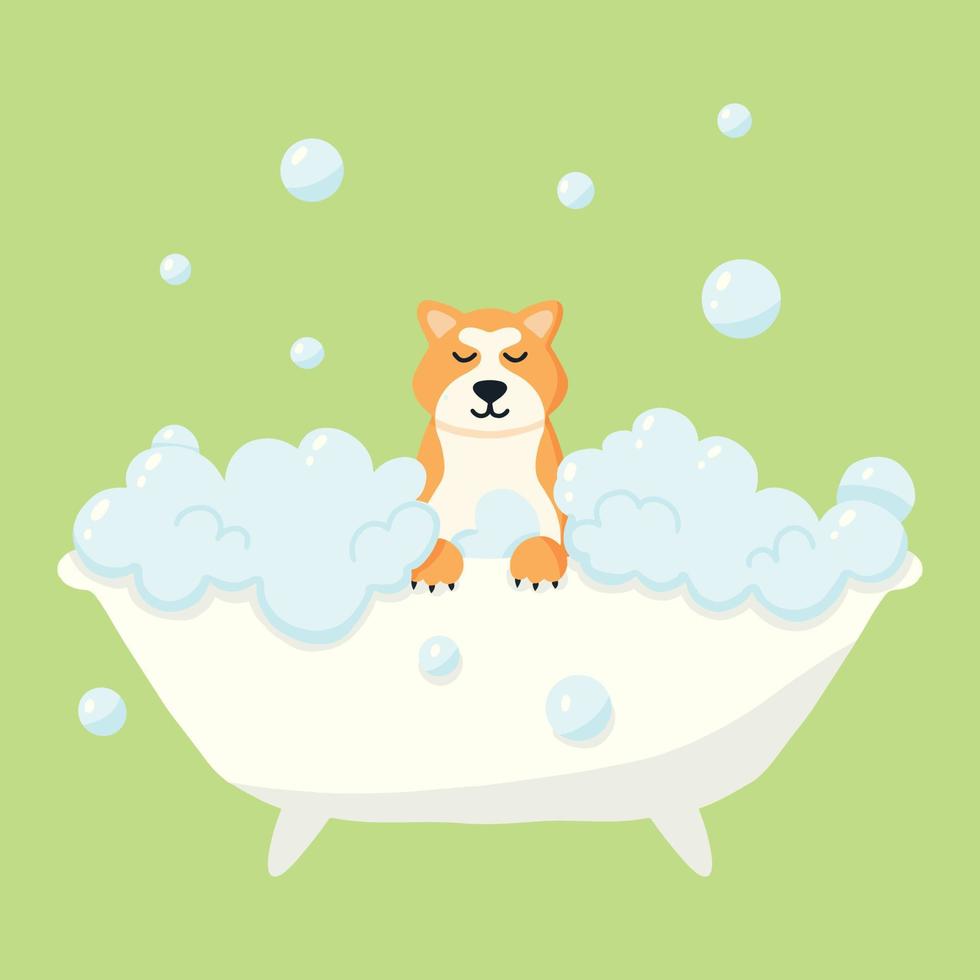 trimsalon. banner voor trimsalon. vectorillustratie in cartoon-stijl. schattige akita in een bubbelbad. zorg voor huisdieren. vector