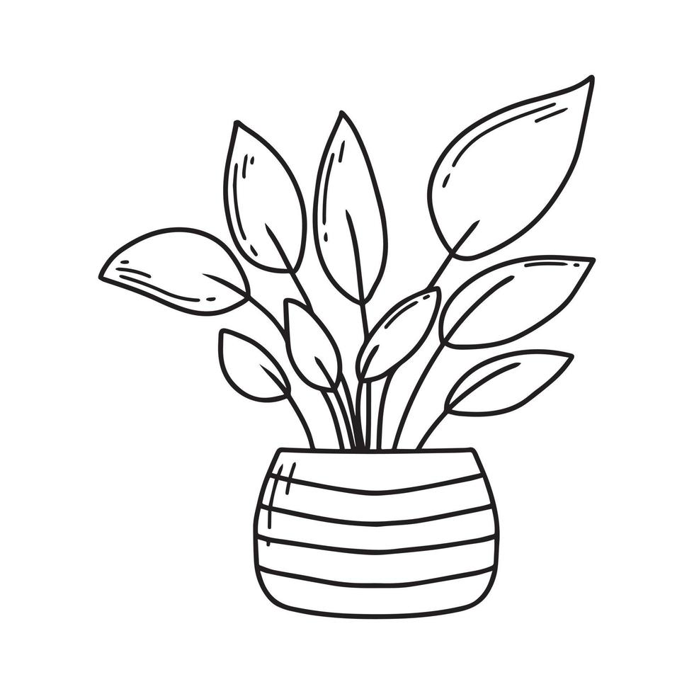 kamerplant in een pot. mooie kamerplant. een mooi plantje. vectorillustratie in doodle stijl. vector