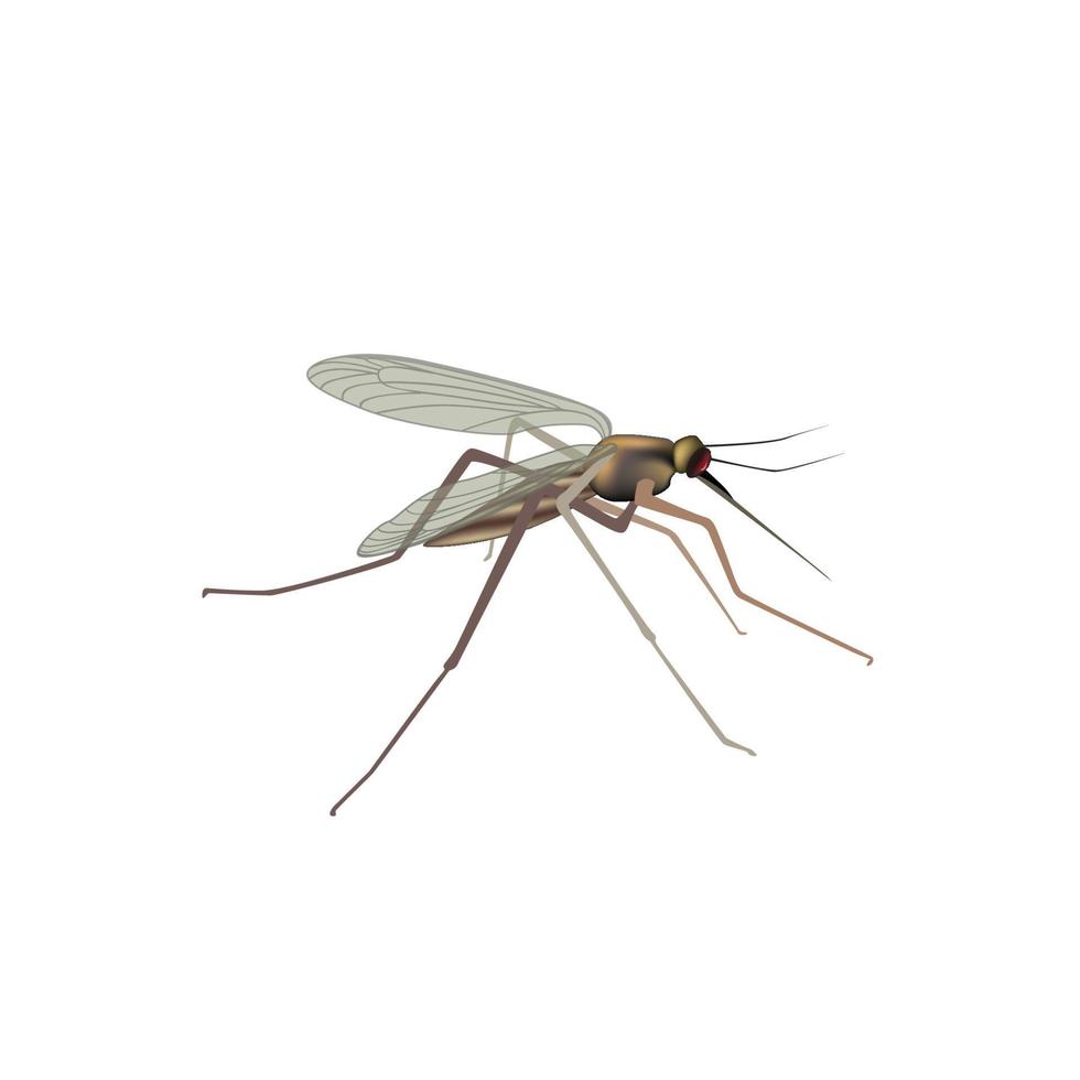 mug geïsoleerd. mug illustratie. macro weergave van insecten vector