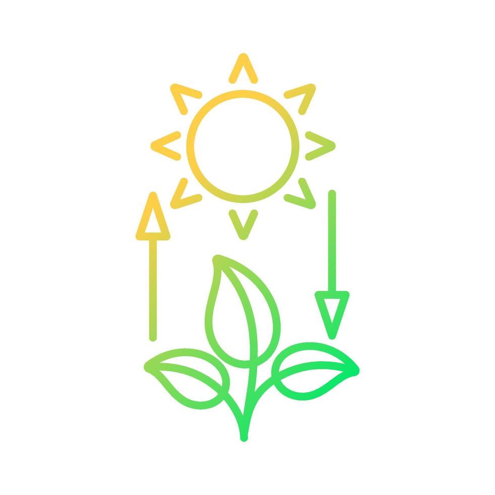 fotosynthese verloop lineaire vector pictogram. lichtenergie omzetten in chemische energie. planten produceren zuurstof. dunne lijn kleur symbool. moderne stijlpictogram. vector geïsoleerde overzichtstekening