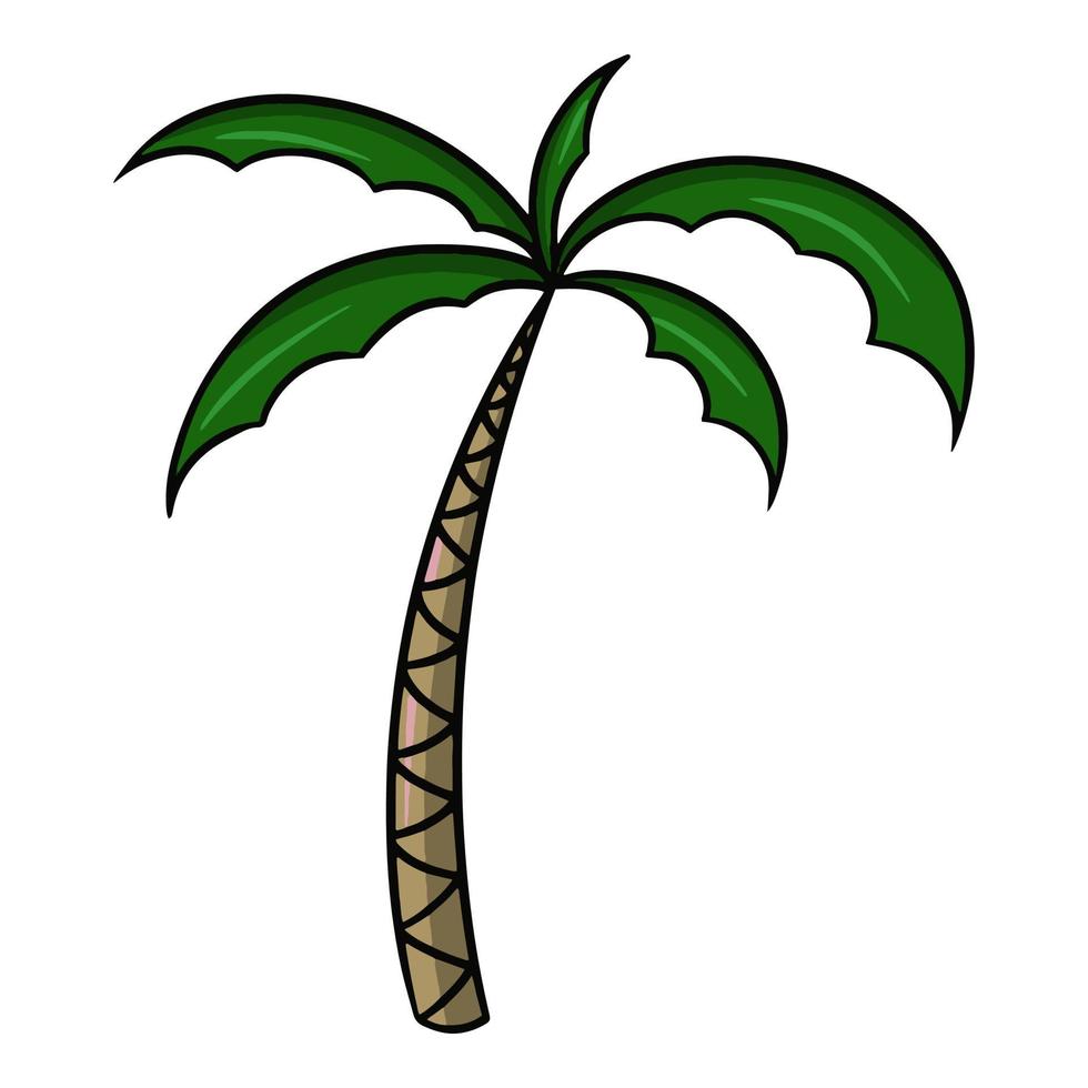 hoge palmboom met groene bladeren, vectorbeeldverhaalillustratie op witte background vector