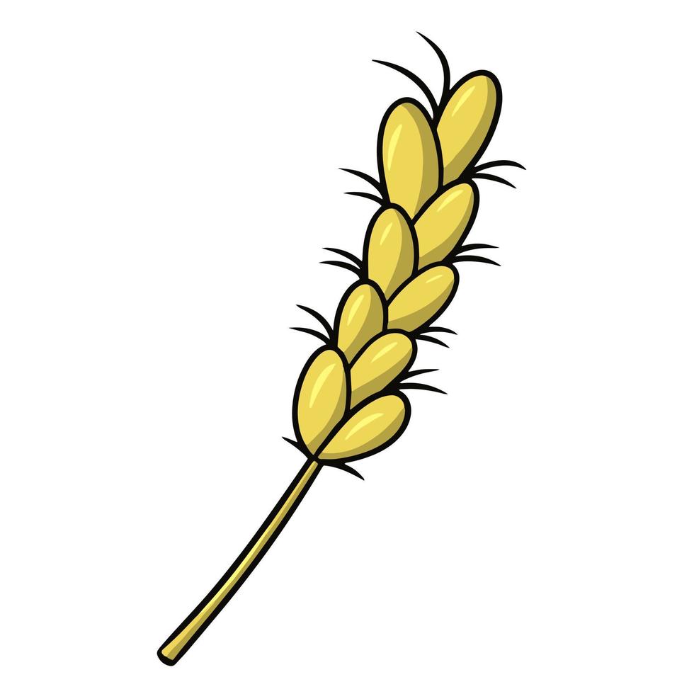gele rijpe oor, rogge granen, vector cartoon afbeelding op een witte achtergrond