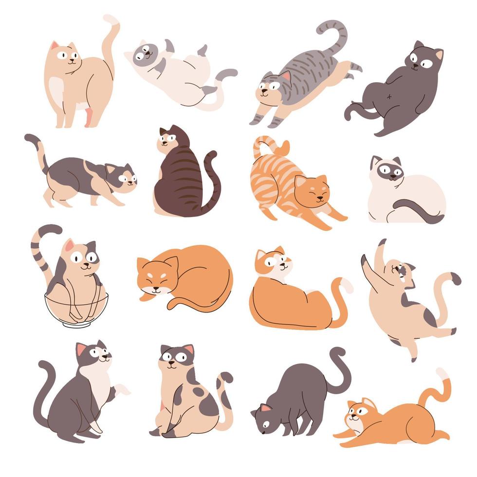 een verzameling schattige katten met verschillende poses, gebaar, strekken, slapen, zitten. handgetekende vlakke stijl, wereld cartoon kat of kitten tekens ontwerp. vector