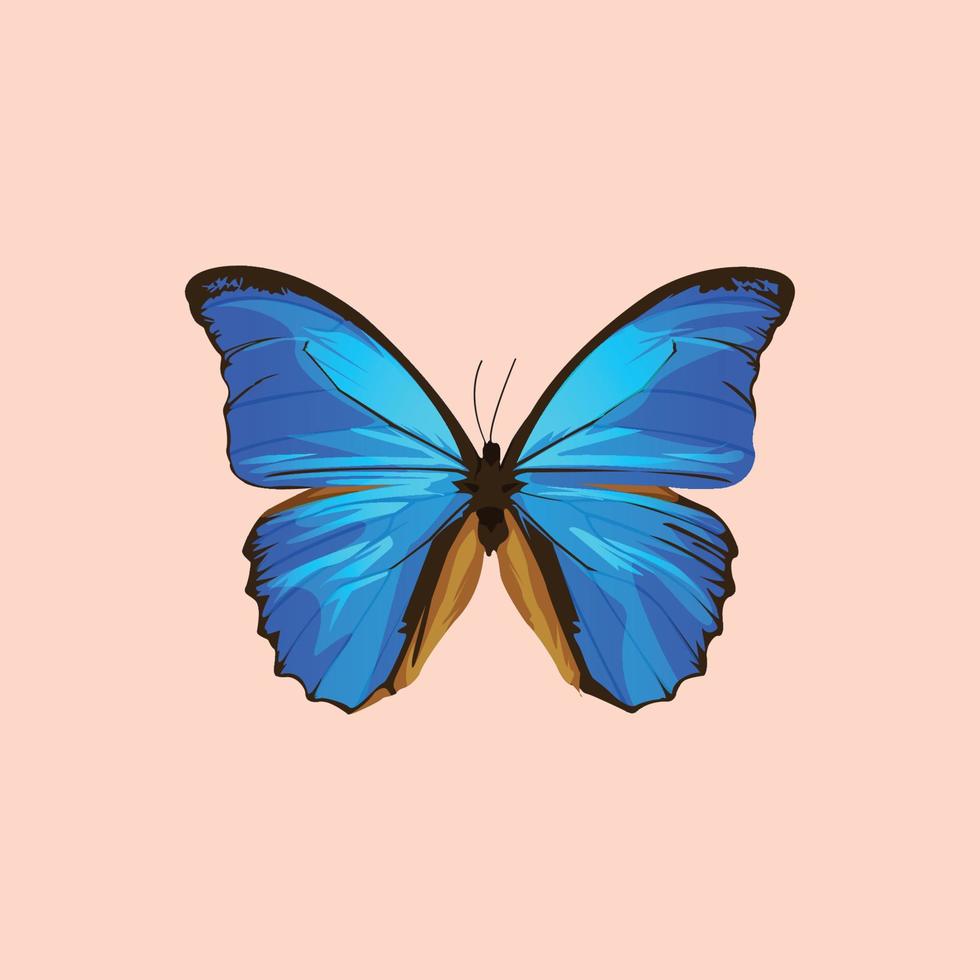 prachtige blauwe vlinderillustratie vector