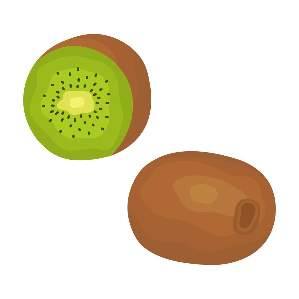 cartoon kleur rijpe hele kiwi en de helft met schaduw. zoet exotisch voedsel in een snit voor gezonde voeding op geïsoleerde achtergrond. vector