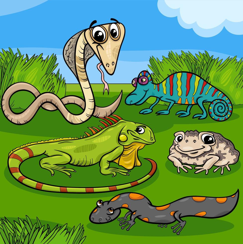 cartoon reptielen en amfibieën dierlijke karakters groep vector